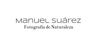 Lolo Suárez - Fotografía de Naturaleza